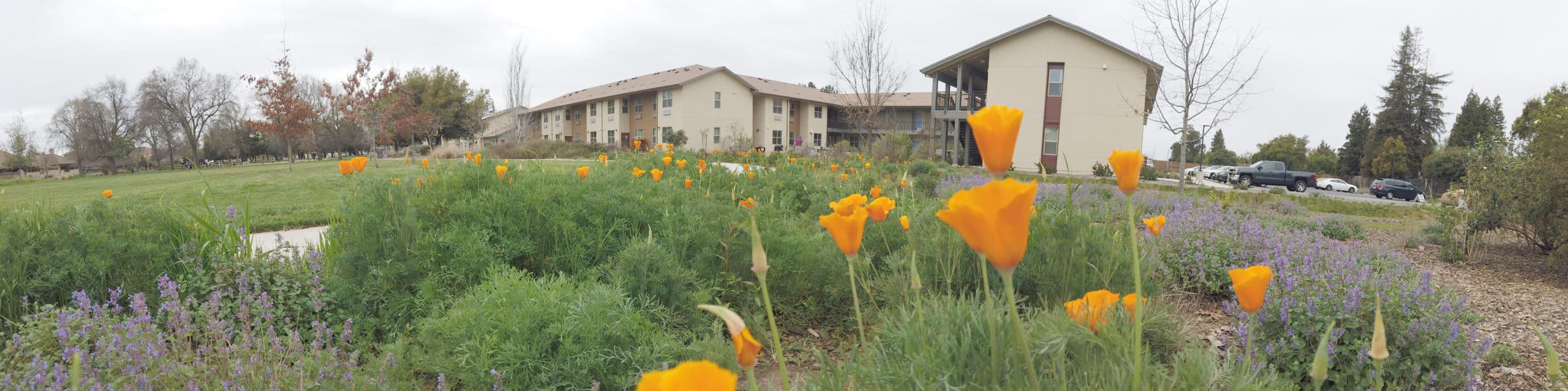 Cranes Landing Eden Housing